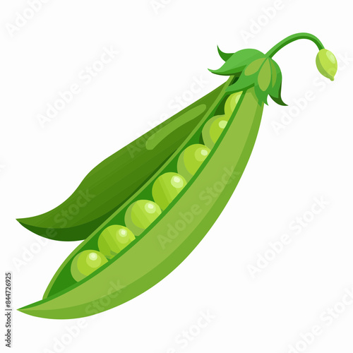 peas isolated on white