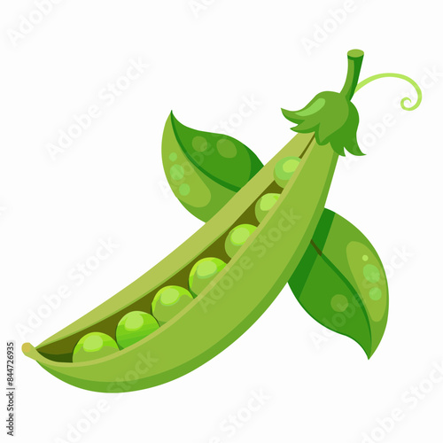 peas isolated on white
