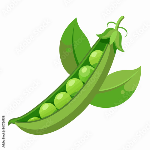 peas isolated on white