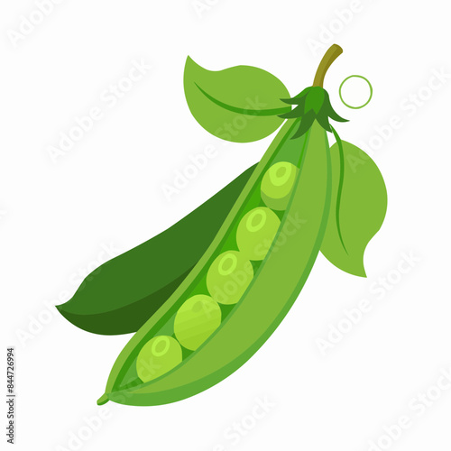 peas isolated on white