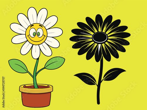 Delightful Daisies Nurturing the Beauty of Daisy Flower Plants