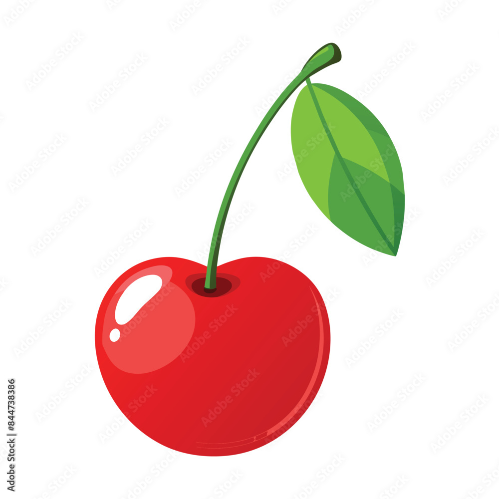 cherry fruit with leaves on white cherry fruit with leaves on white