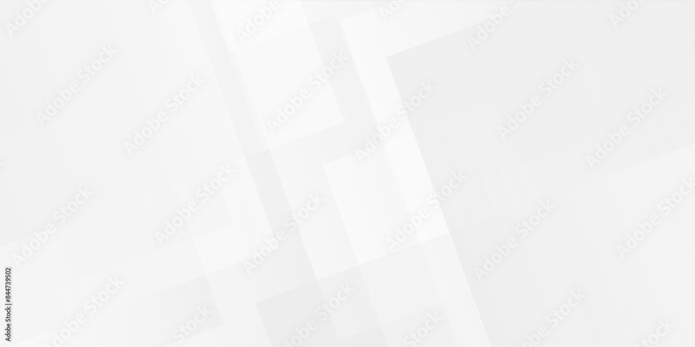 Fototapeta premium Modern Abstract white and gray triangle technology lines. vector illustration gradient futuristic. Space design concept. Decorative web layout or poster, banner. White grey background vector design.