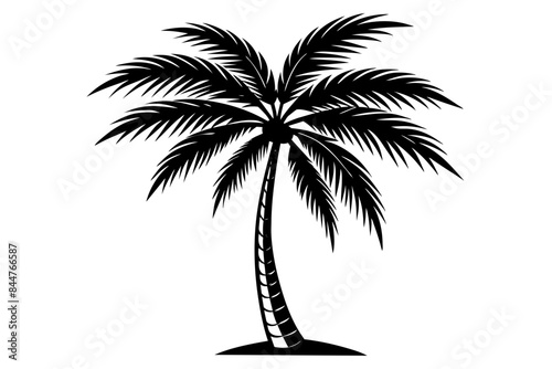 Coconut tree silhouette vector image