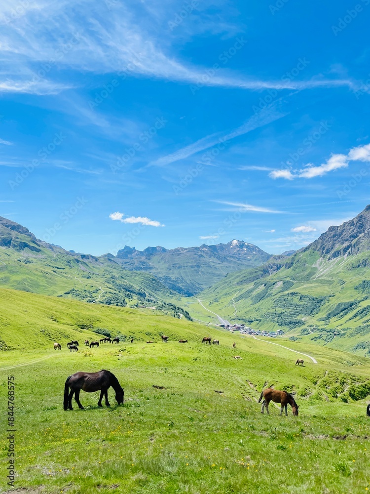 Obraz premium Pferde grasen auf einer grünen Bergwiese unter einem klaren, blauen Himmel mit malerischer Berglandschaft im Hintergrund.