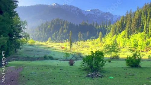 Landscape video of Taobat with clouds, meadow, wild flowers and green nature photo