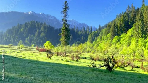 Landscape video of Taobat with clouds, meadow, wild flowers and green nature photo