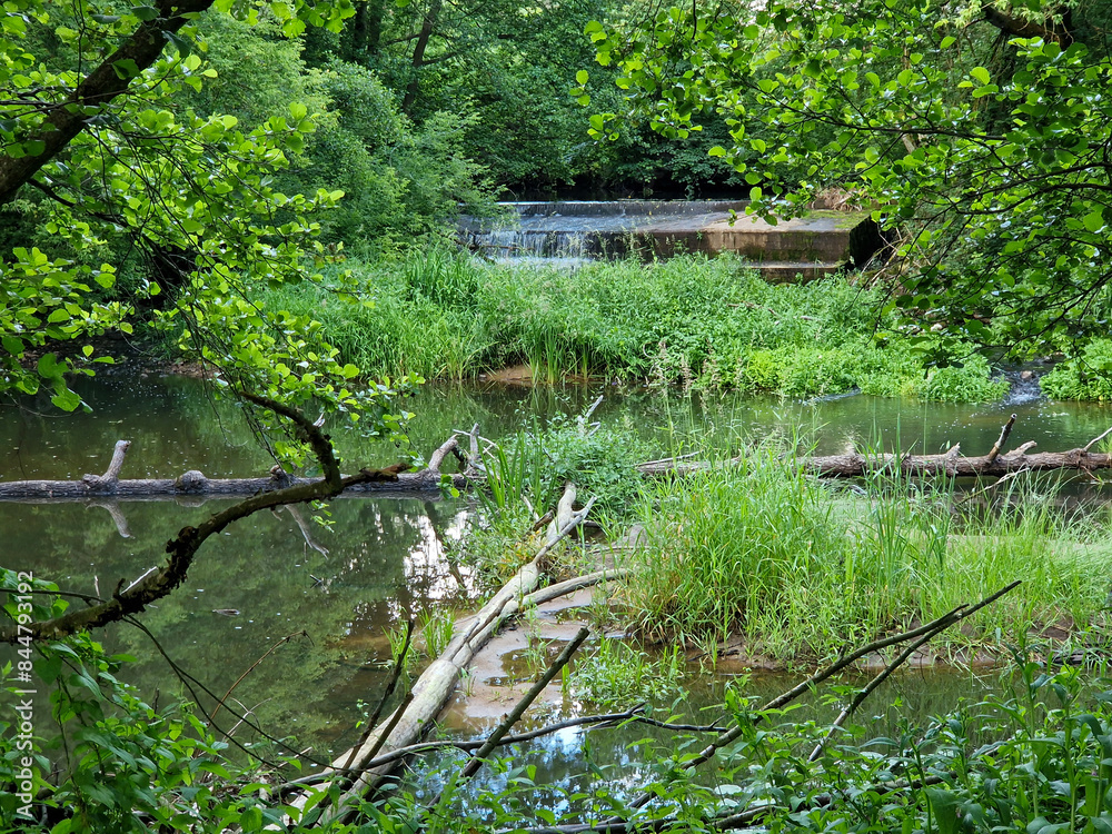 The small and wild Grabia river in central Poland. The small and wild Grabia river in central Poland.