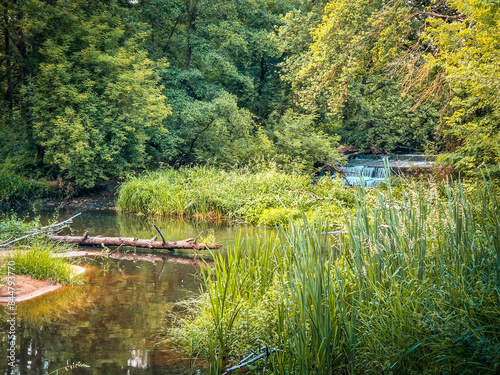 The small and wild Grabia river in central Poland. photo