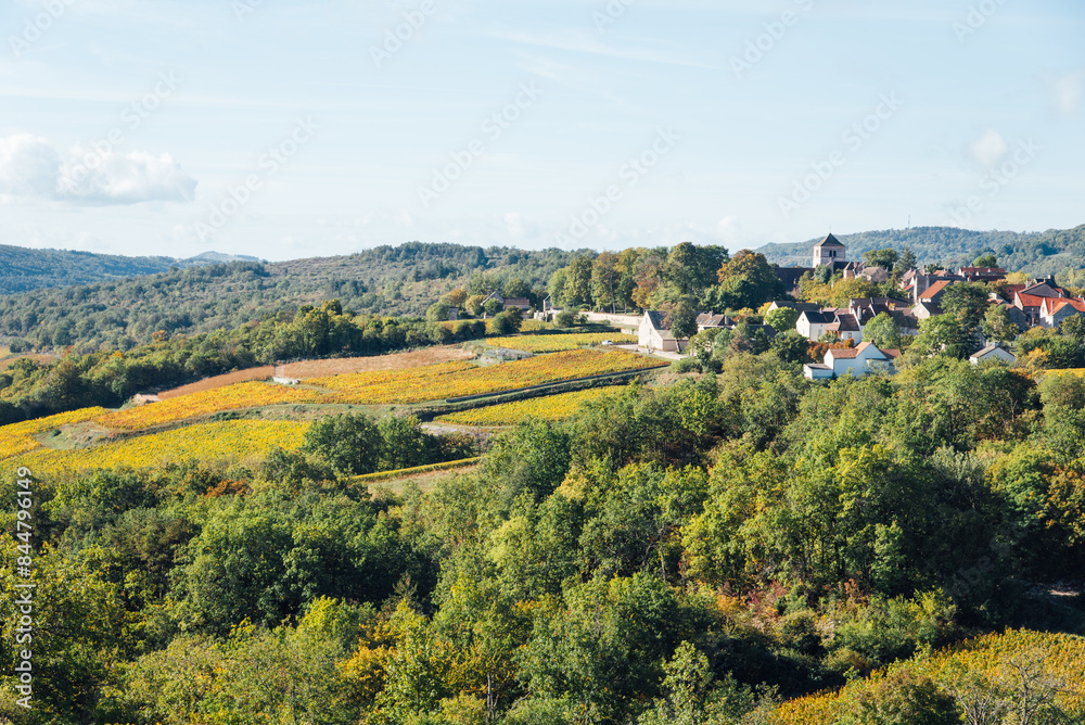 Vignoble de Côte d'Or en automne. Vignes automnales. Vignes de Bourgogne. Vignes dorées sur les coteaux. Paysage de vignes à Meursault. Village de Saint-Romain 21190 Vignoble de Côte d'Or en automne. Vignes automnales. Vignes de Bourgogne. Vignes dorées sur les coteaux. Paysage de vignes à Meursault. Village de Saint-Romain 21190