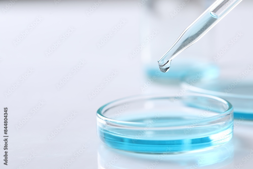 Dripping liquid from pipette into petri dish at white table, closeup. Space for text Dripping liquid from pipette into petri dish at white table, closeup. Space for text