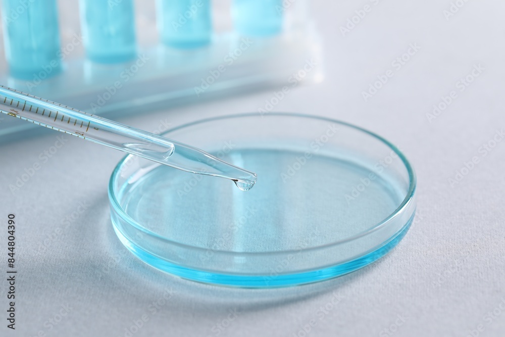 Dripping liquid from pipette into petri dish on light background, closeup. Laboratory analysis Dripping liquid from pipette into petri dish on light background, closeup. Laboratory analysis