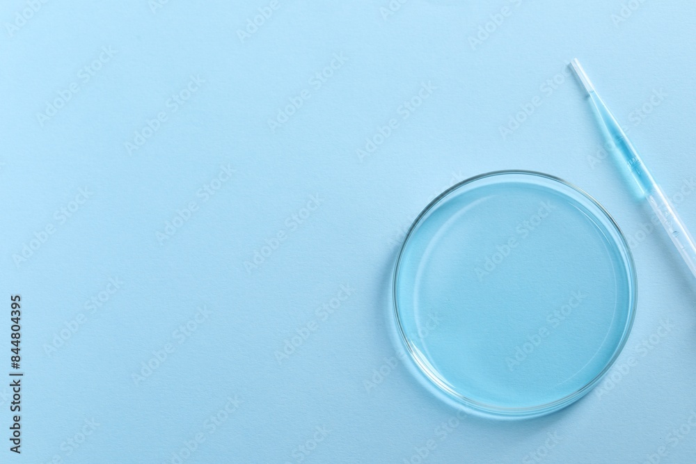 Transfer pipette and petri dish on light blue background, top view. Space for text Transfer pipette and petri dish on light blue background, top view. Space for text
