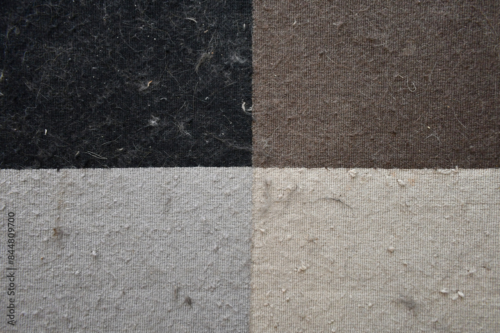 Fototapeta premium Dirty old rug with cat hair and lots of dust. How to remove pet hair concept. 