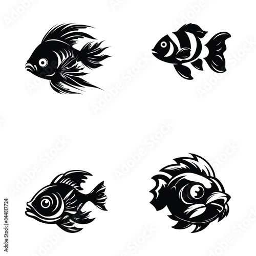 black and white fishes