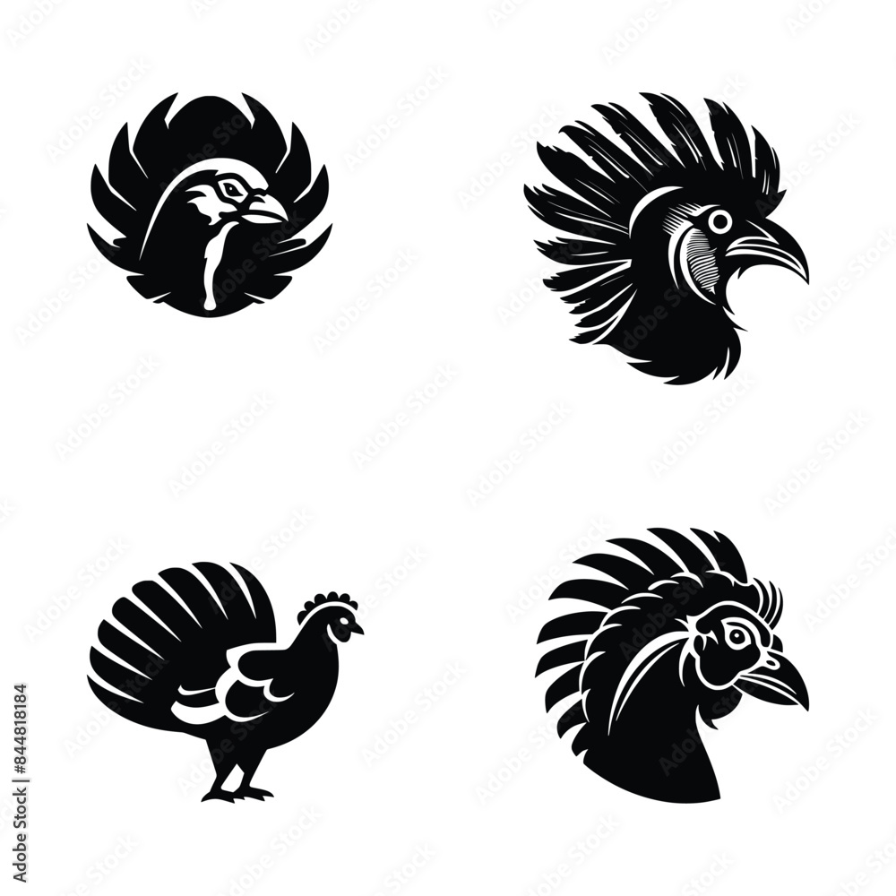 Fototapeta premium black and white chicken
