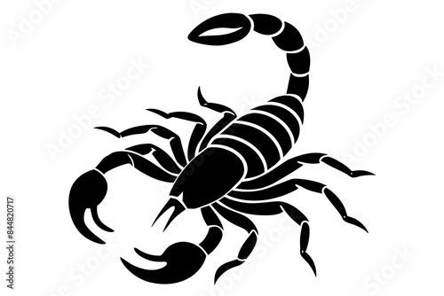 scorpion animal silhouette vector illustration