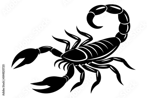 scorpion animal silhouette vector illustration
