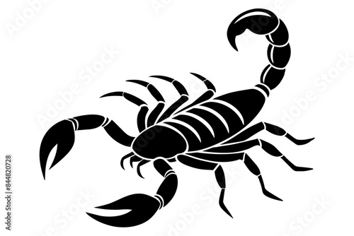 scorpion animal silhouette vector illustration