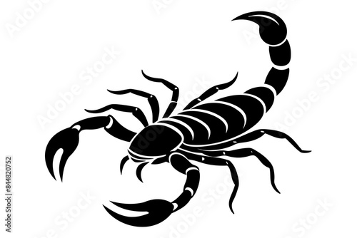 scorpion animal silhouette vector illustration
