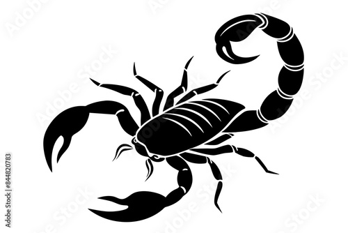 scorpion animal silhouette vector illustration