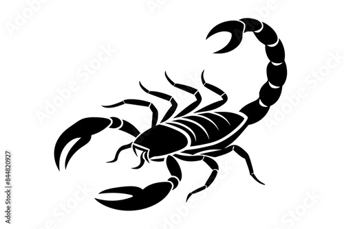 scorpion animal silhouette vector illustration