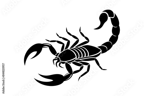 scorpion animal silhouette vector illustration