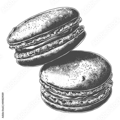 Monochrome Macarons: Detailed Etching Style Dessert Treat Illustration