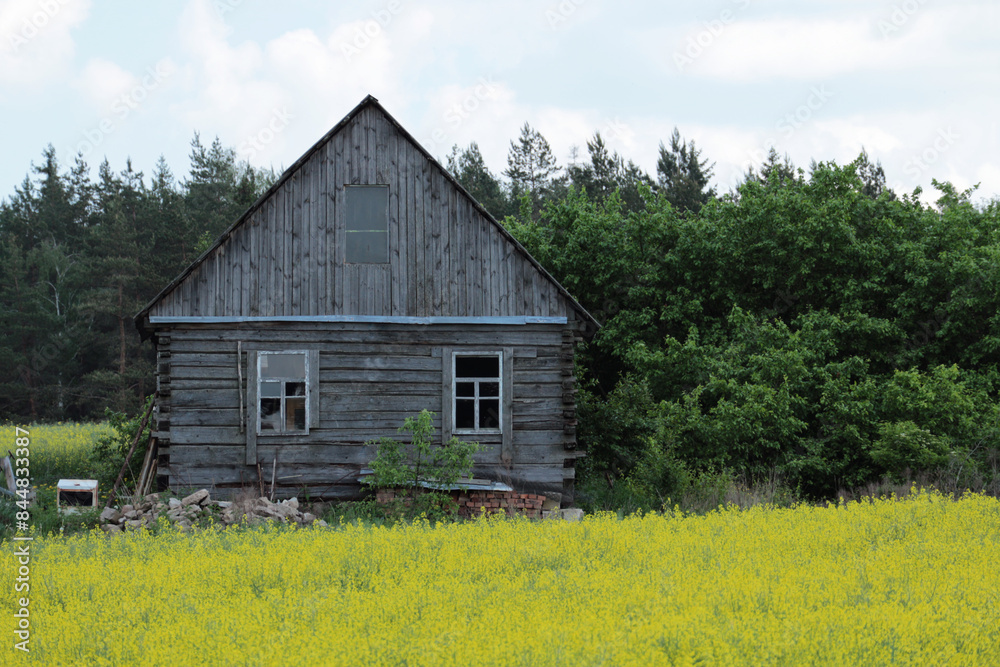 Obraz premium Old wooden village house. Belarusian landscape.