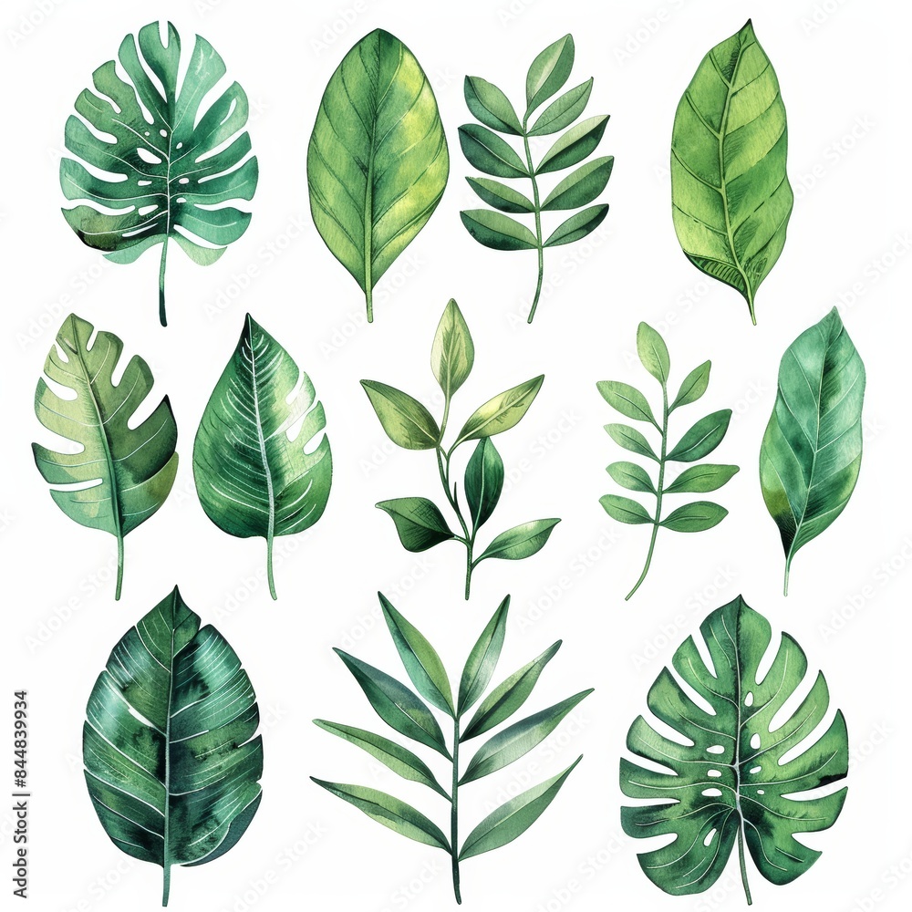 Vibrant Tropical Leaves on White Background for Summer Designs Generative AI