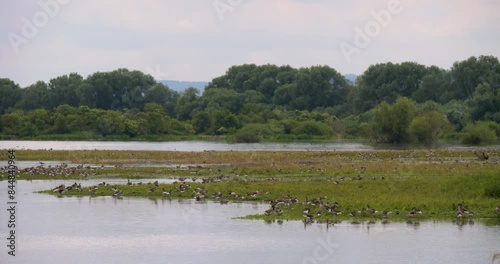Bird´s Island with beautiful view