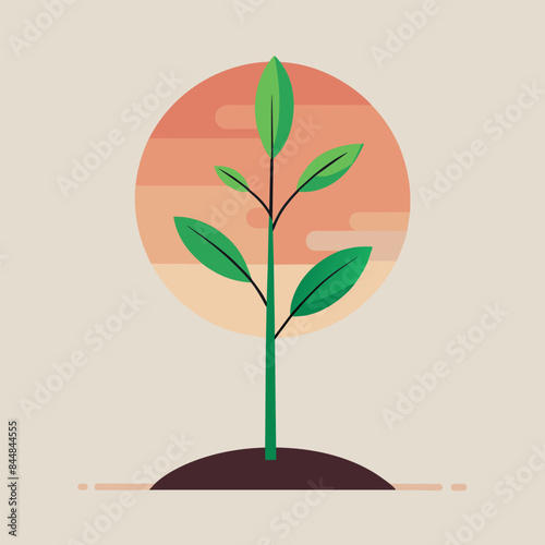 Simple Linear Illustration of a Green Plant Sprouting From a Seed During Sunset, A linear design of a plant sprouting from a seed in a minimalist style