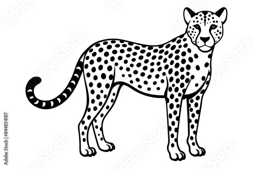cheetah vector illustration © Jutish