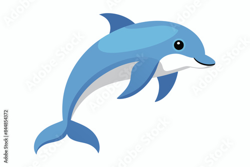 dolphin fish vector illustration