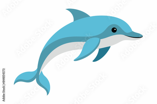 dolphin fish vector illustration © Shiju Graphics