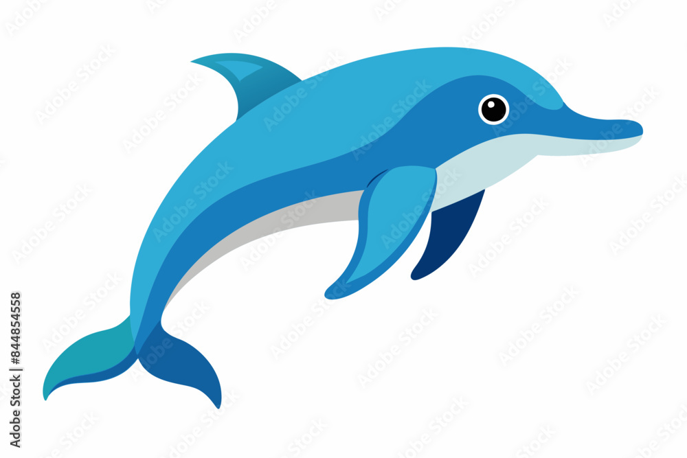 dolphin fish vector illustration dolphin fish vector illustration