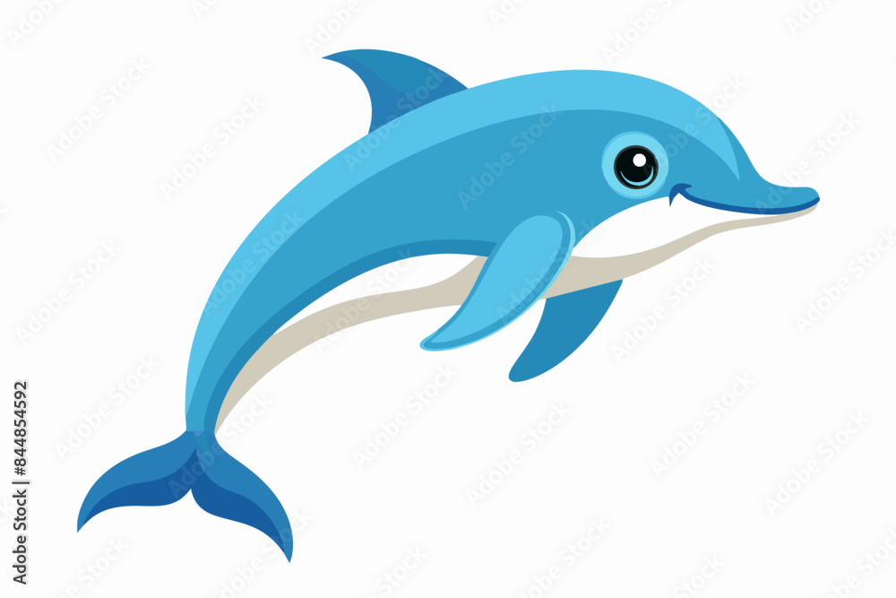 dolphin fish vector illustration dolphin fish vector illustration