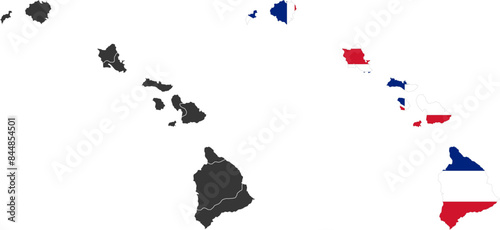 Hawaii Islands of USA. Hawaii flag and territory. States of America territory on white background. Separate states. Vector illustration
