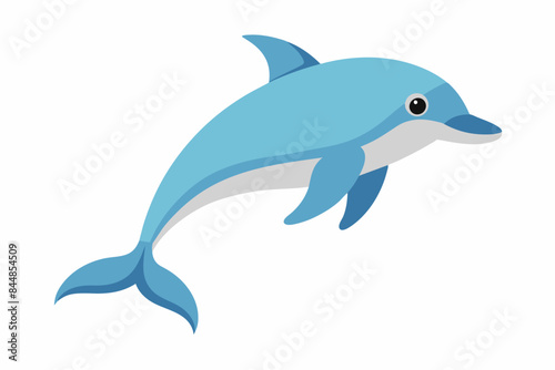 dolphin fish vector illustration