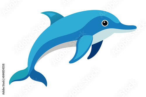 dolphin fish vector illustration