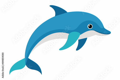 dolphin fish vector illustration
