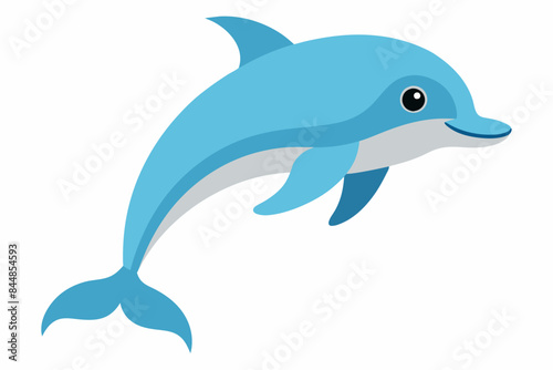 dolphin fish vector illustration