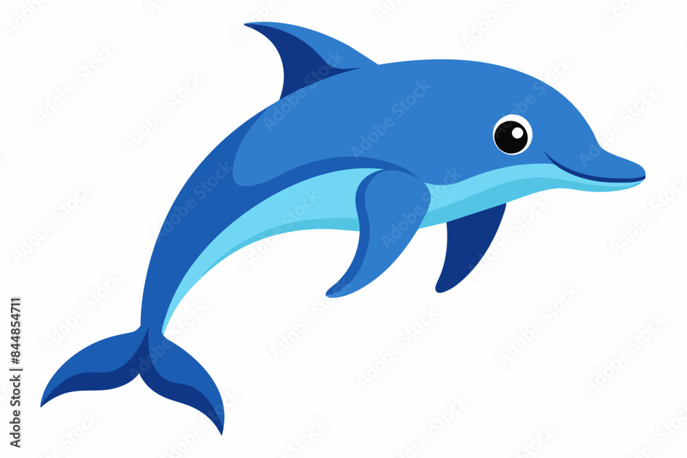 dolphin fish vector illustration dolphin fish vector illustration