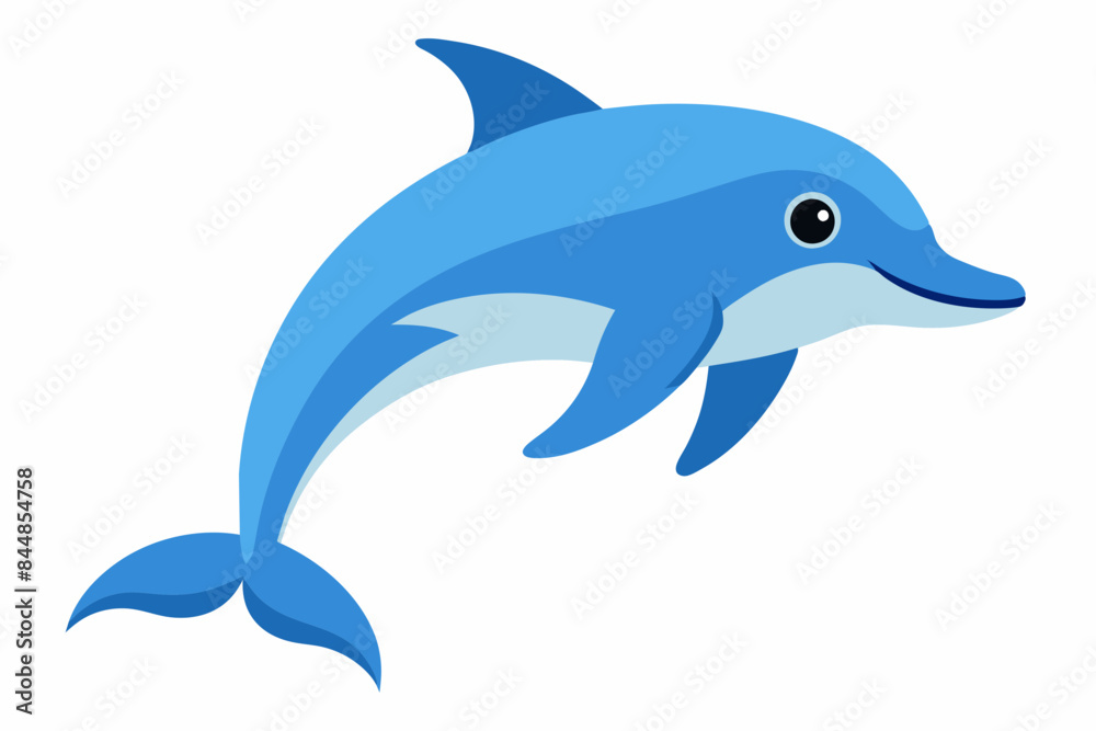 dolphin fish vector illustration dolphin fish vector illustration