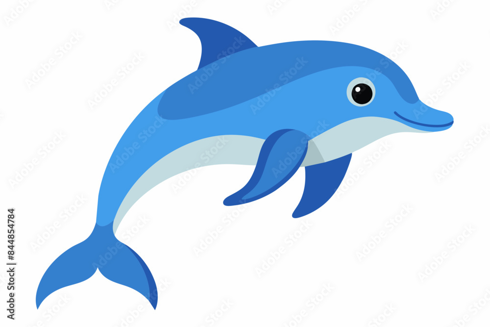 dolphin fish vector illustration dolphin fish vector illustration