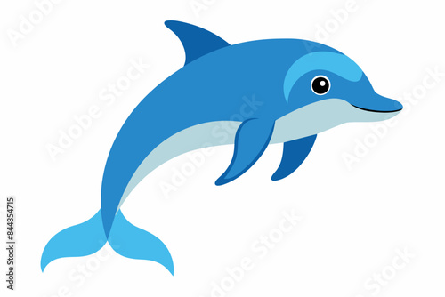 dolphin fish vector illustration