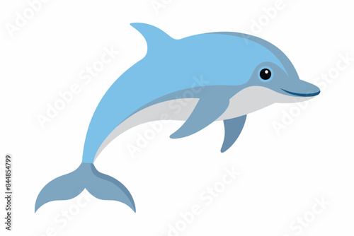 dolphin fish vector illustration