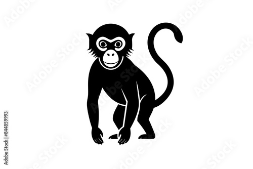 monkey vector illustration