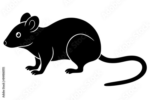 mouse vector illustration
