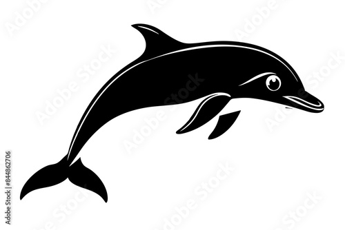 dolphin fish vector illustration